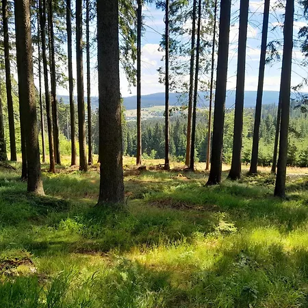 Pod Jagodna Apartment *