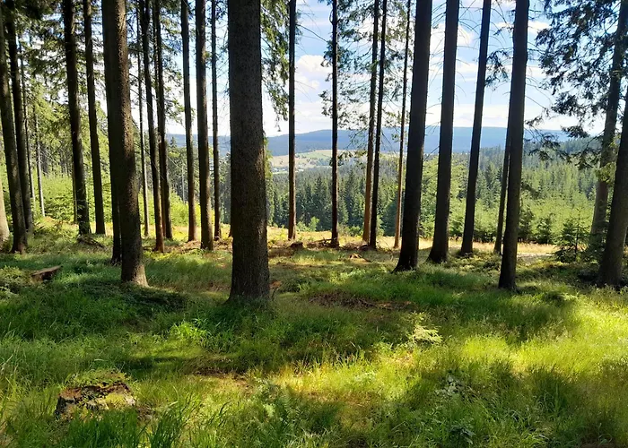 Pod Jagodna Appartement *